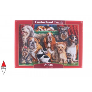 PUZZLE CASTORLAND 3000 PZ