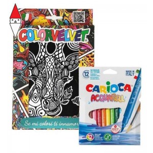 GIOCO EDUCATIVO COLOR VELVET