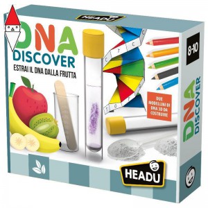 GIOCO EDUCATIVO HEADU