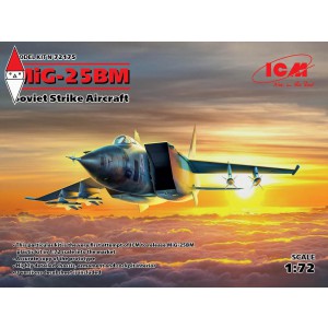 KIT COSTRUZIONE ICM