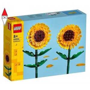 COSTRUZIONE LEGO