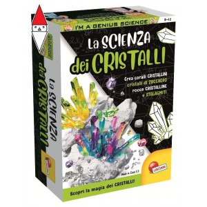 GIOCO EDUCATIVO LISCIANI