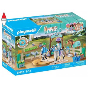 COSTRUZIONE PLAYMOBIL