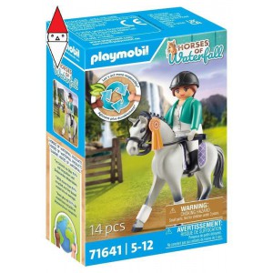 COSTRUZIONE PLAYMOBIL