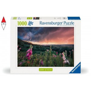 PUZZLE RAVENSBURGER 1000 PZ