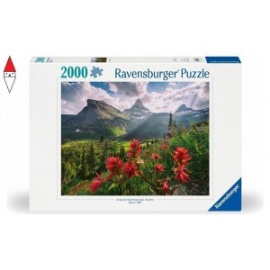 PUZZLE RAVENSBURGER 2000 PZ