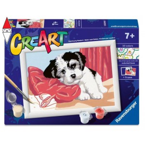 GIOCO EDUCATIVO RAVENSBURGER