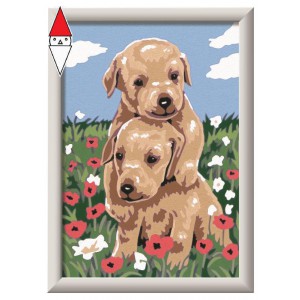 GIOCO EDUCATIVO RAVENSBURGER