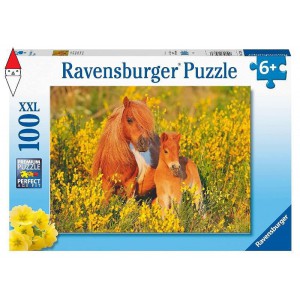 PUZZLE RAVENSBURGER