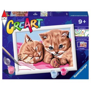 GIOCO EDUCATIVO RAVENSBURGER