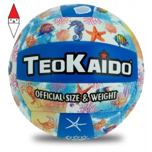 GIOCO SPORTIVO TEOREMA