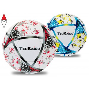 GIOCO SPORTIVO TEOREMA