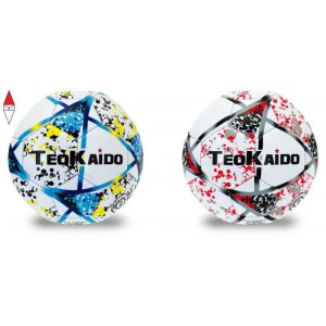 GIOCO SPORTIVO TEOREMA