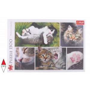 PUZZLE TREFL 1500 PZ