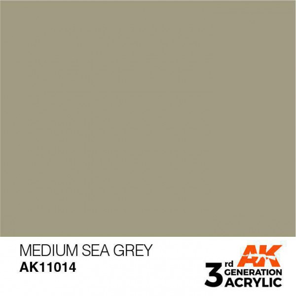 AK INTERACTIVE AK11014
