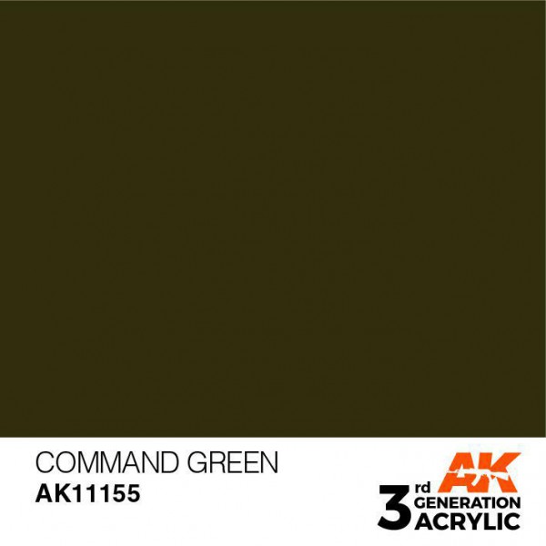 AK INTERACTIVE AK11155