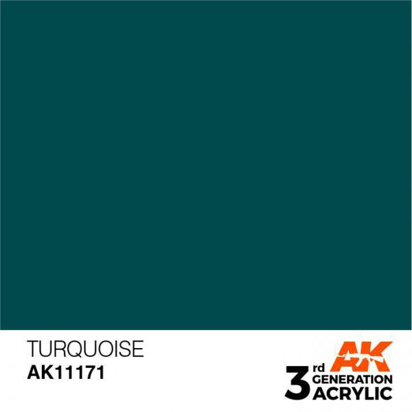 AK INTERACTIVE AK11171