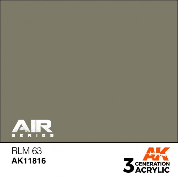 AK INTERACTIVE AK11816