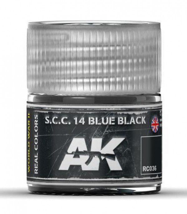 AK INTERACTIVE RC036