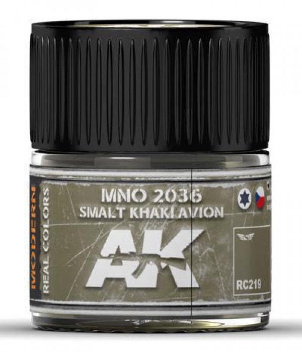 AK INTERACTIVE RC219