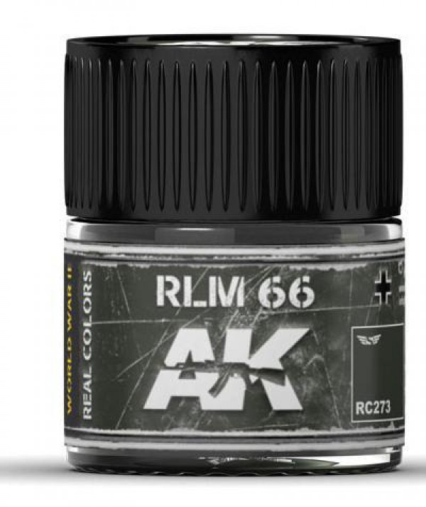 AK INTERACTIVE RC273