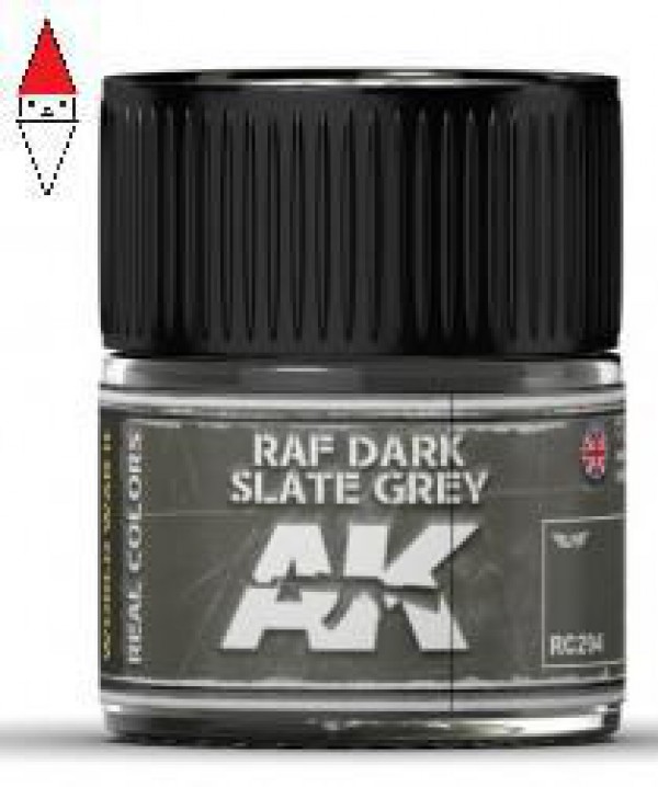 AK INTERACTIVE RC294