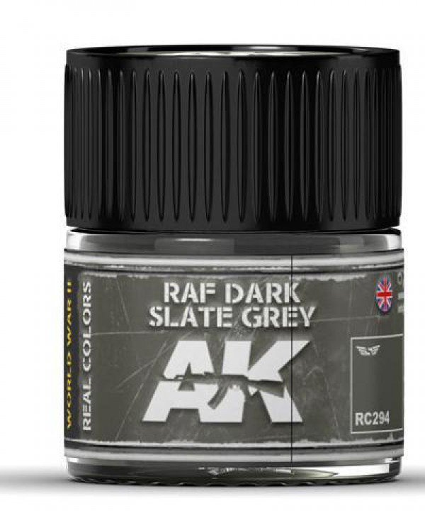 AK INTERACTIVE RC294
