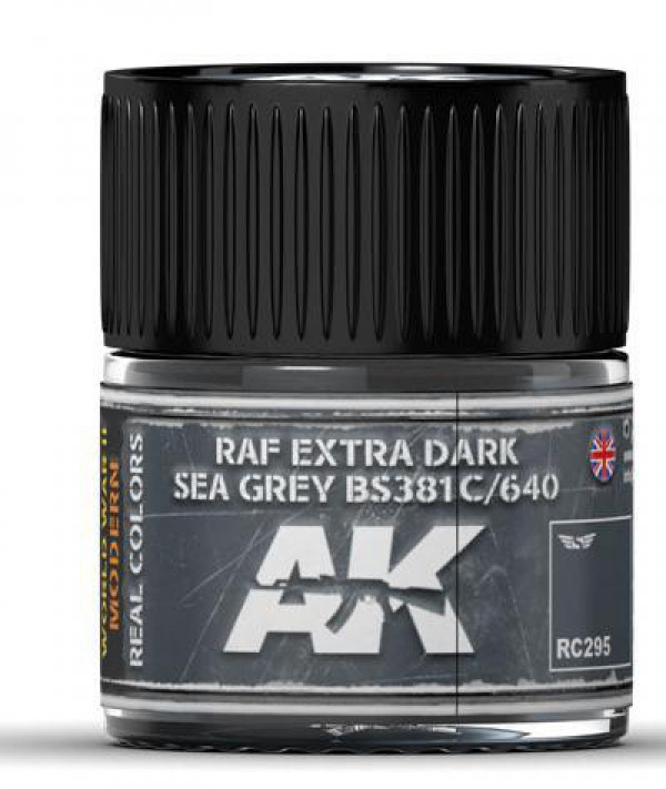AK INTERACTIVE RC295