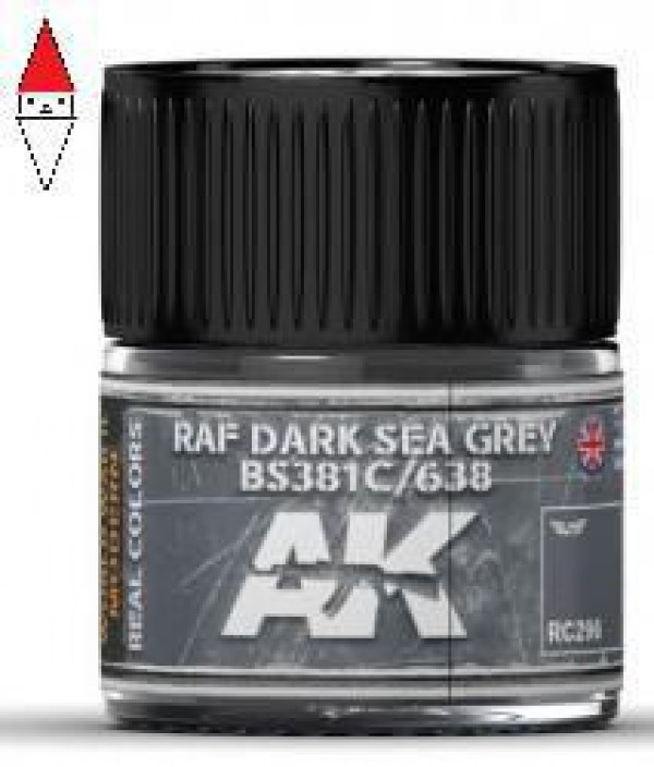 AK INTERACTIVE RC296