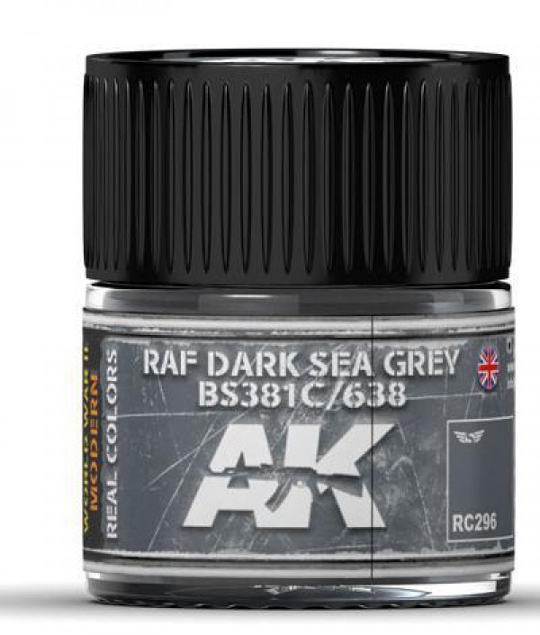 AK INTERACTIVE RC296