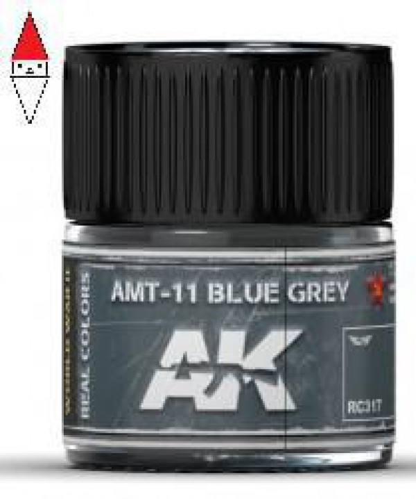 AK INTERACTIVE RC317