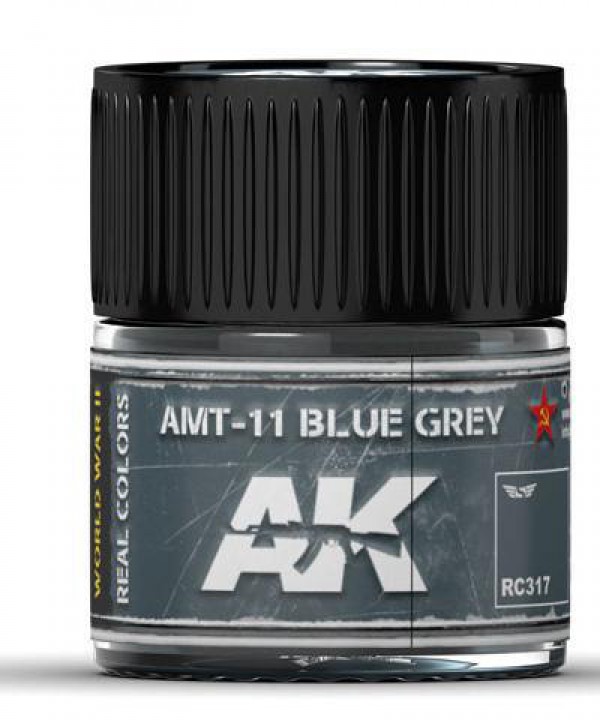 AK INTERACTIVE RC317