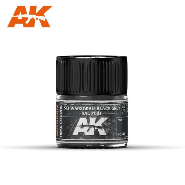 AK INTERACTIVE RC341