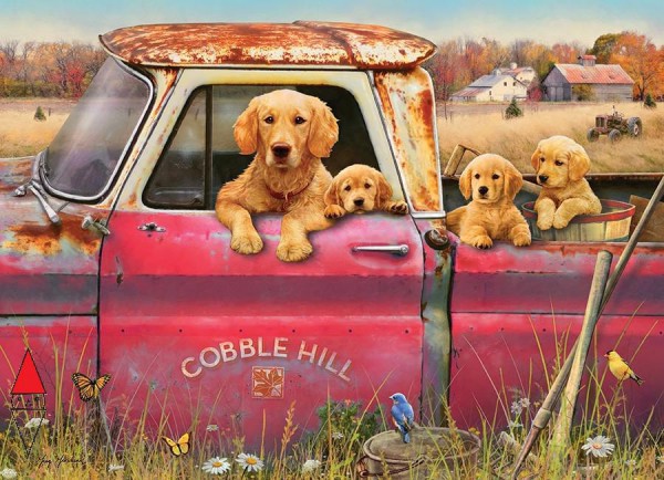 COBBLE HILL 80116