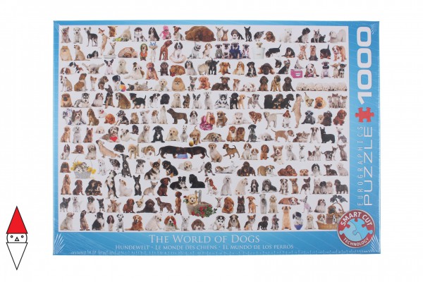 EUROGRAPHICS 6000-0581