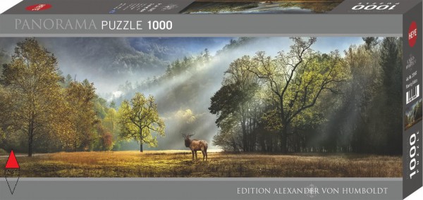 HEYE 29947