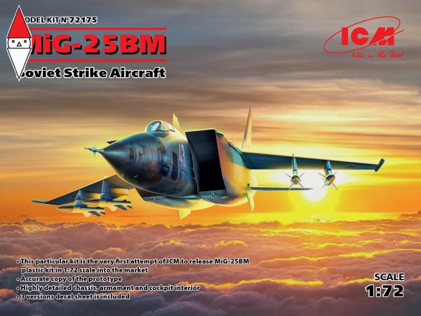 ICM 72175
