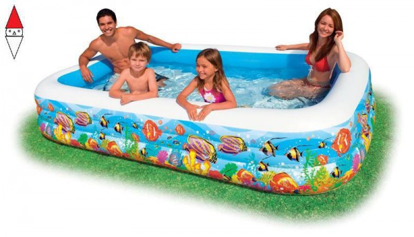 INTEX (GONFIABILE) 58485