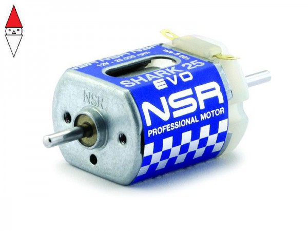 NSR 3043