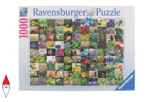RAVENSBURGER 15991
