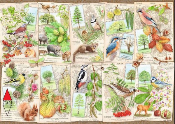 RAVENSBURGER 16421
