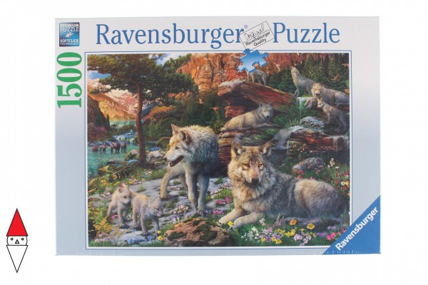 RAVENSBURGER 16598