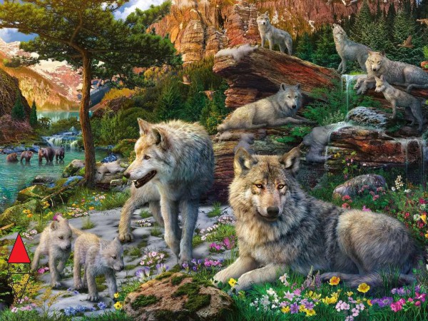 RAVENSBURGER 16598