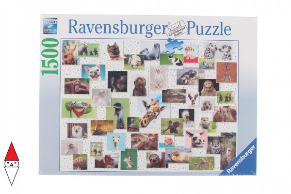 RAVENSBURGER 16711
