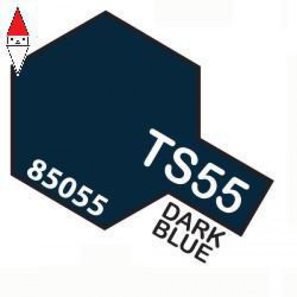 TAMIYA TS55